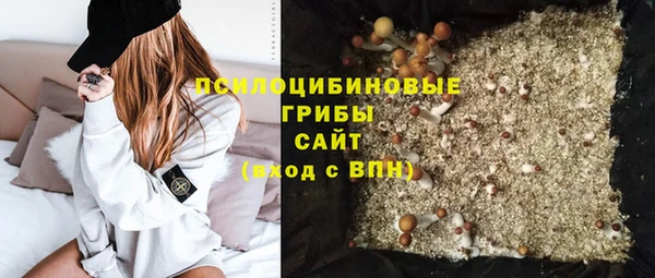кокс Аркадак
