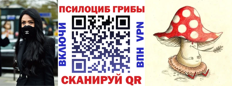 Галлюциногенные грибы прущие грибы  Дорогобуж 